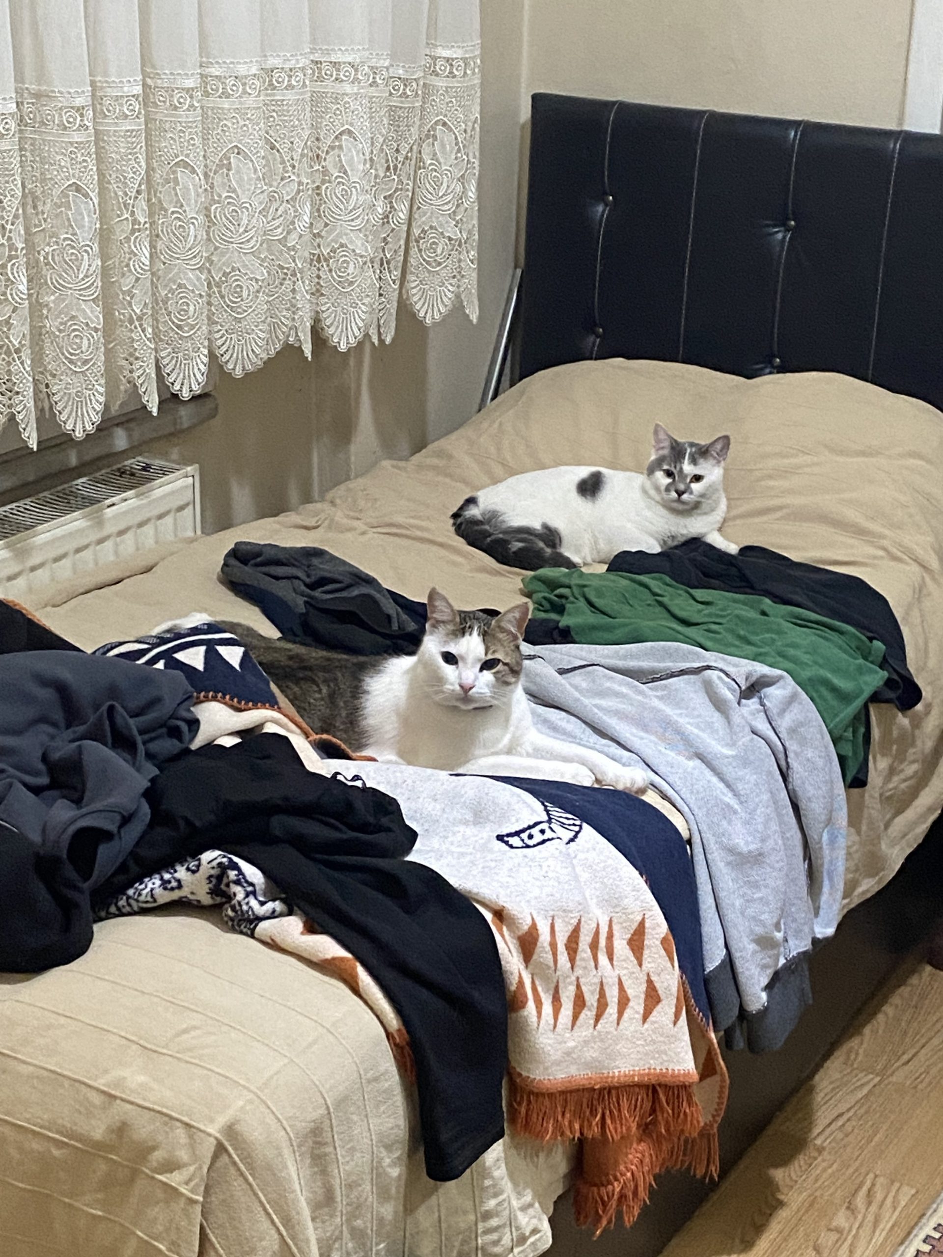 Yaşama dair, yaşamın ötesinde